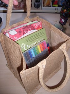 My Life Organiser kit comes in this cute little bag...