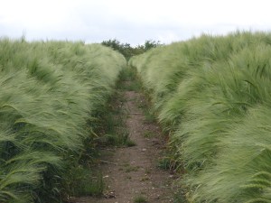 Are you enjoying the journey?