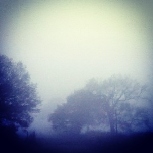 The view from my bedroom window.