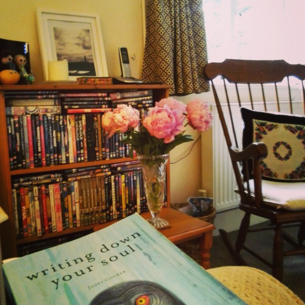 The View from my Reading Chair. With peonies. Please don't judge us for the DVD addiction.